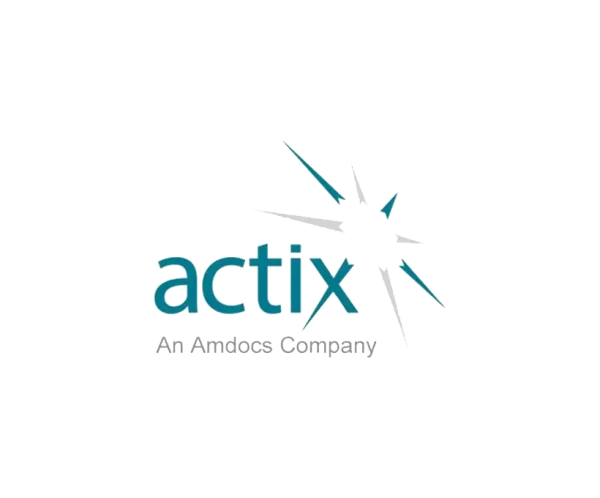 Actix Analyzer Software License